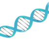 paradigmpeptides.com