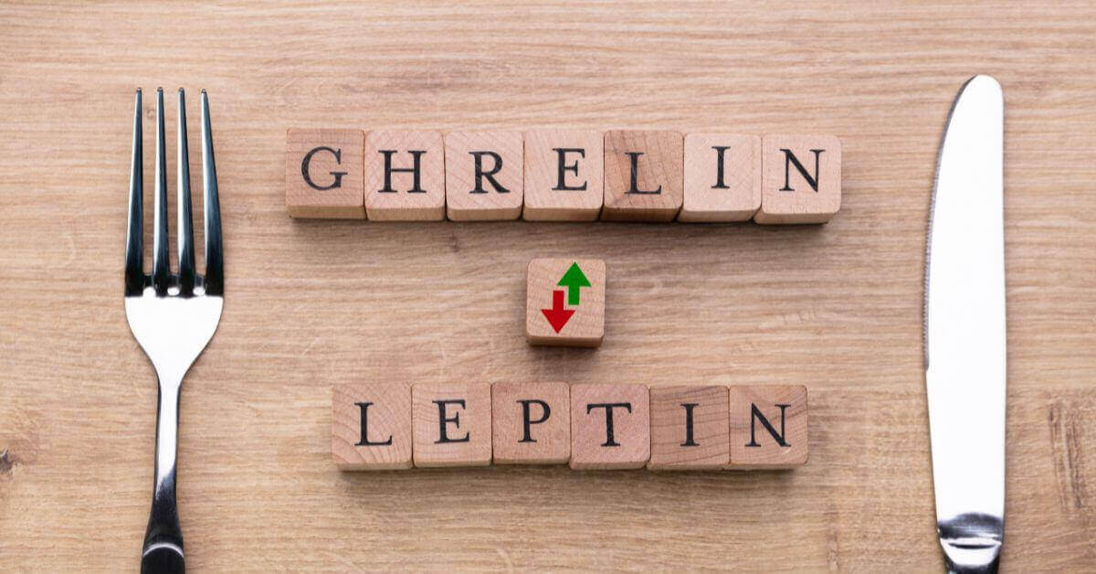 ghrelin and leptin